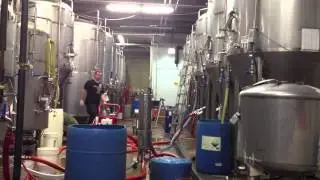 DC Brau
