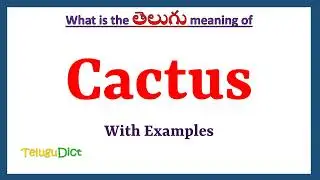 Cactus Meaning in Telugu | Cactus in Telugu | Cactus in Telugu Dictionary |