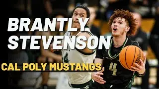 Brantly Stevenson 2022-2023 Highlights Cal Poly Mustangs Highlights
