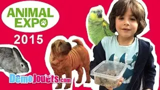 (VLOG) Animal Expo Chat Chien Poisson reptile 2015 - D&eacute;mo Jouets