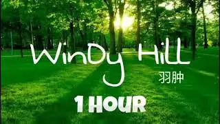 WINDY HILL -  NHẠC TĨNH TÂM, THƯ GIÃN ĐẦU ÓC