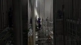 Behind the Scenes: Climbing High-Voltage Towers at the Power Plant