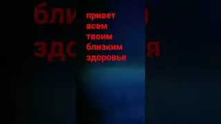 шины на сайте в разделе задать