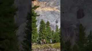 Gilgit Baltistan 🇵🇰 #travel #mountainswiev #gilgitbaltistan #youtubeshorts #mountains #pakistan
