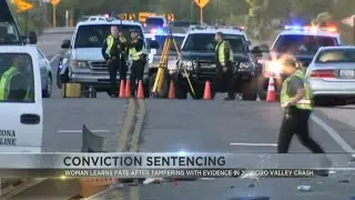 Tucson news - Jana Giron's sentencing: probation and community service imposed