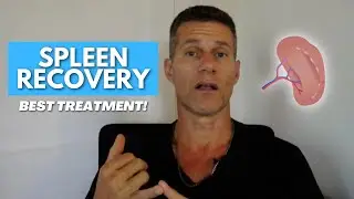 How To Take Care Of Your Spleen
