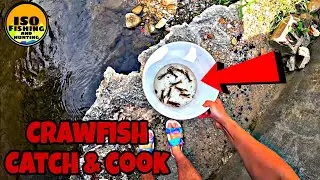 Small Creek Crawfish Catch & Cook!!!