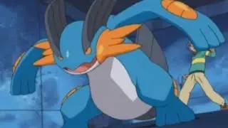 swampert all attacks & moves