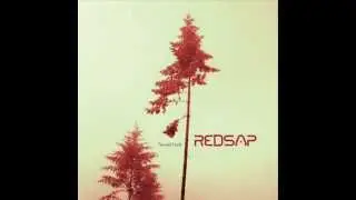 Redsap - The Dream And The Light