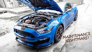 Ownership costs of a GT350 *Maintenance and Gas*