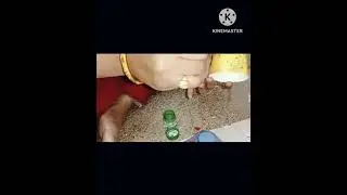 #paper glass craft#paper cup flowers#shorts#crafts#yt videos#trendy#viral
