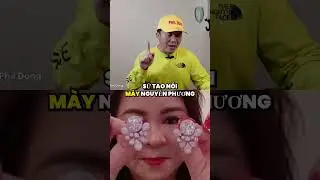 Nguyễn Phương Hằng th&aacute;ch thức: 'mặc &aacute;o cờ đỏ sao v&agrave;ng ở Cali ng&agrave;y 26/11'