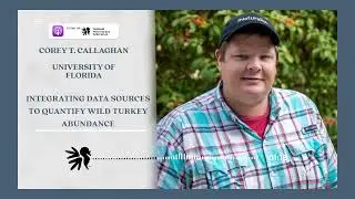 Wild Turkey Research : Quantifying Turkey Abundance Florida