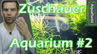 Zuschauerbecken #2: Ich schaue mir eure Aquarien an!