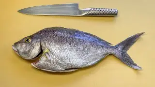 Filleting Grey Morwong