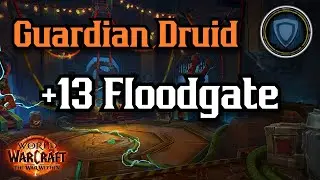 Guardian Druid +13 Floodgate