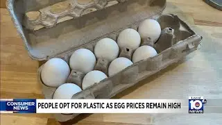 People opting for plastic as egg prices continue to soar