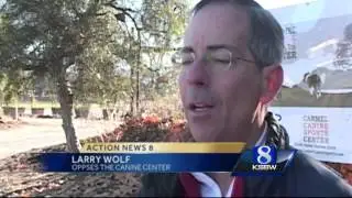 Carmel Canine Sports Center causing controversy