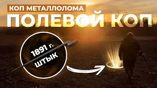 СОБРАЛИСЬ КОПАТЬ МЕТАЛЛ, А ОТКОПАЛИ ... / Полевой коп на перепаханном поле и штык прямо посреди поля