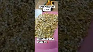Fa&ccedil;a em casa  #trabalharcasa #dicasdinheiro #trabalheonline