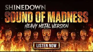 Shinedown &ndash; Sound of Madness | Heavy Metal Rock Cover Version