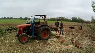 Au bois saison 2024-2025 part 5.