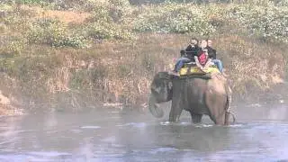 Crossing the river on elephant back - early morning mist