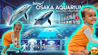 🐬 Osaka Aquarium Part 2: Dolphins, Whales & Magical Jellyfish! 🐋✨Travel Vlog in Tamil | Japan🇯🇵Vlog