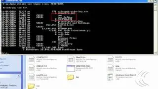 Con File Bug: Second Revealing