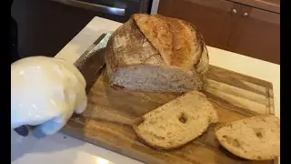 Science & Benefits of Fermentation - Sourdough Bread (Denver, CO) | Brent's Prime Food Adventures