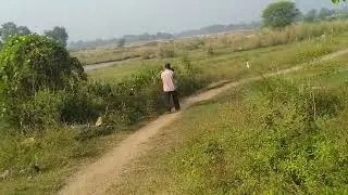 Domuhan 