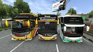 Bus Simulator Indonesia V4. 4.1