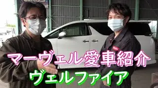 お友達のヴェルファイア紹介