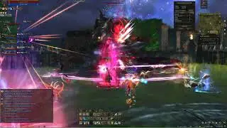Lineage 2 NA CROW server, massive Turek boss against Dynasty guild, day 48