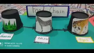 Food chain ideas 💡