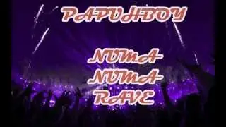 Numa Numa Rave (BEST Dragostea Din Tei Remix)