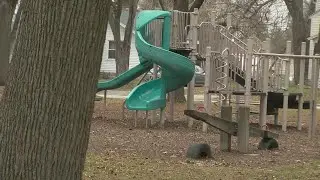 Preble Park enhancement