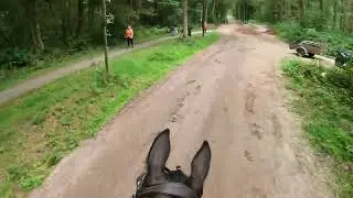 Eventing cross, Norg 30-08-2025, klasse M. Fenna met Madirmie