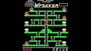 Arcade Longplay - Woodpecker (1981) Amenip