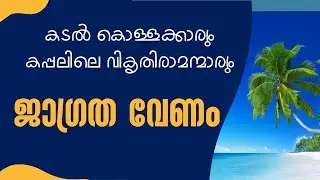 ജാഗ്രത വേണം \\ കടൽ കൊള്ളക്കാരും കപ്പലിലെ വികൃതിരാമന്മാരും