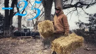 Will Our 500+ Farm Animals Survive This Arctic Blast?