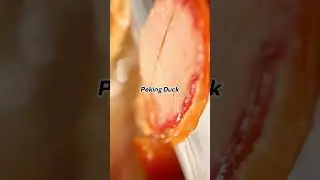 Discover Northern Chinese Cuisine | Noodles, Dumplings, Buns, and Peking Duck | Shorts