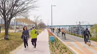[4K] Walk to Han river park Jamwon district : Spring has come in Seoul 잠원 한강공원 산책