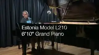 Terrance Shider Watermelon Man Piano Cover