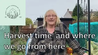 #smallgardens2023 Sept - harvest and what next