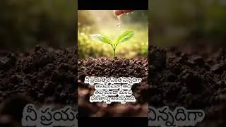 Small Efforts Create Big Success | Daily Motivation #Shorts #Motivation #MotivationalShorts #Success
