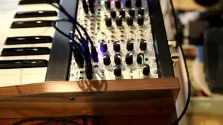 manmademadman vs. WMD DPLR (digital delay)2
