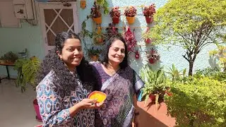 Amazing Alphonso Aamras
