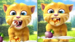 Talking Ginger 🐱 | Easy Laughs, No Stress 🌿🙂