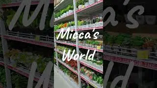 Adding life to my home with small plants 🪴✨#shoppingvlog #shopping #travel